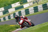 cadwell-no-limits-trackday;cadwell-park;cadwell-park-photographs;cadwell-trackday-photographs;enduro-digital-images;event-digital-images;eventdigitalimages;no-limits-trackdays;peter-wileman-photography;racing-digital-images;trackday-digital-images;trackday-photos